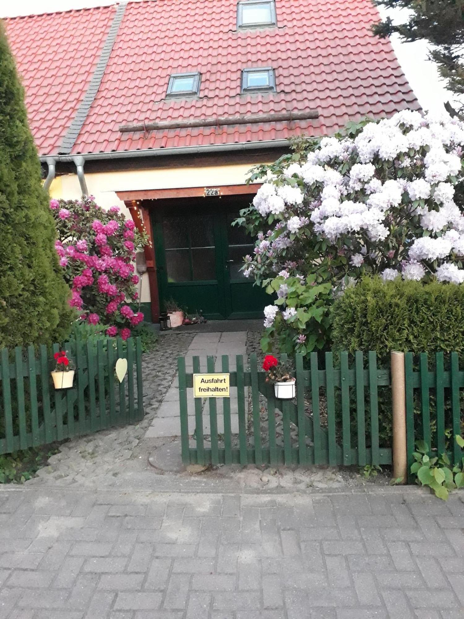 Harzglueck Villa ทาเลอ ภายนอก รูปภาพ